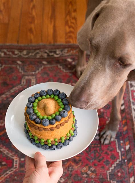Dog birthday treats. Things To Know About Dog birthday treats. 